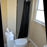 The downstairs bathroom is complete with a shower, toilet and ...